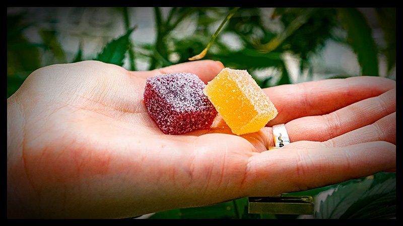 Sweet Satisfaction: How HHC Edibles Cater to Your Wellness Needs